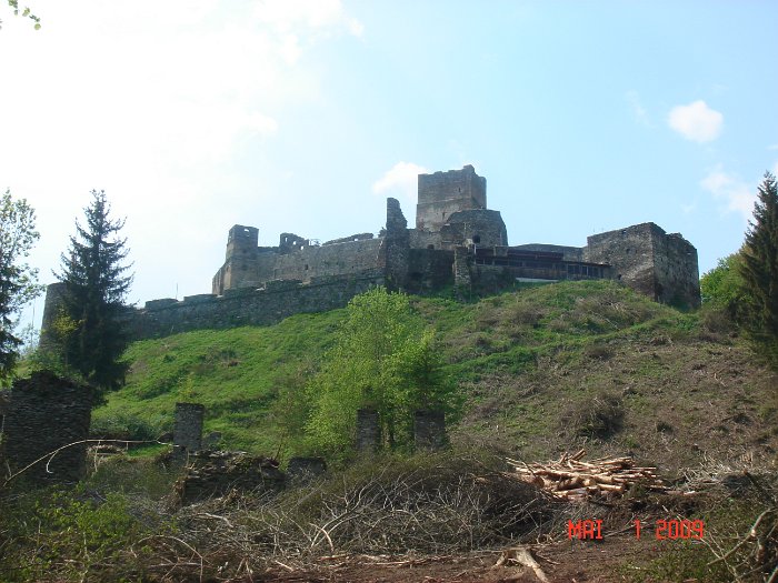 Schlägerung 067
